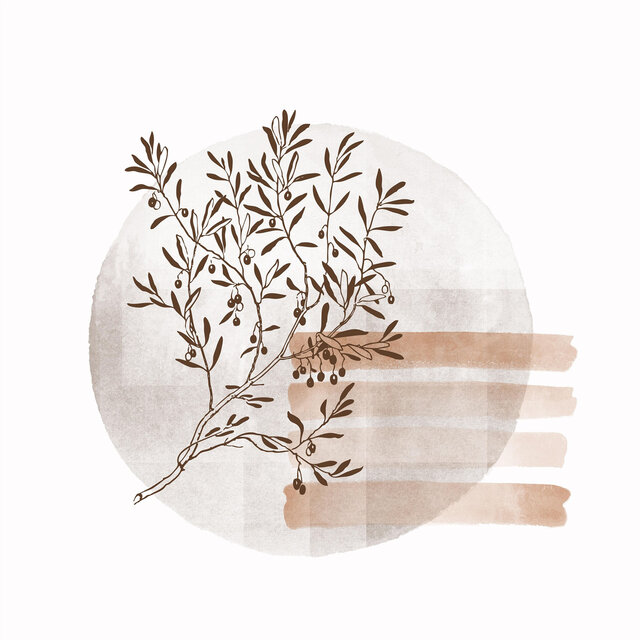 Gentle Lullabies That Let Newborn Babies Have Sweet Sleep