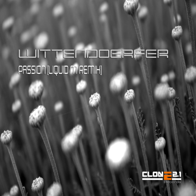 Passion (Liquid M Remix)