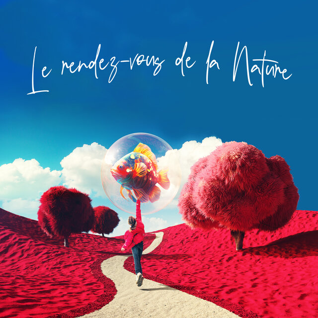Le rendez-vous de la Nature: Un Voyage Musical Pour se Reconnecter à la Nature et à L'intérieur de Soi