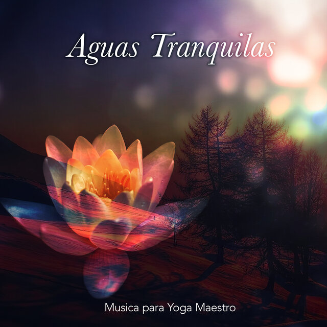Aguas Tranquilas