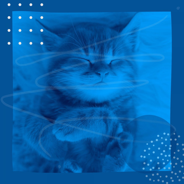 Entertaining (Relaxing Cats)
