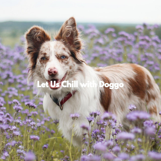 Let Us Chill with Doggo