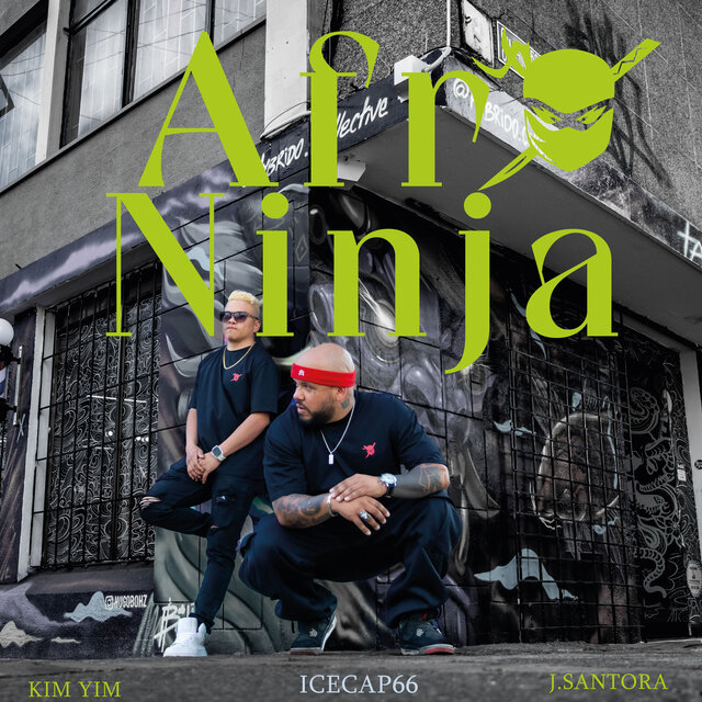 Afroninja