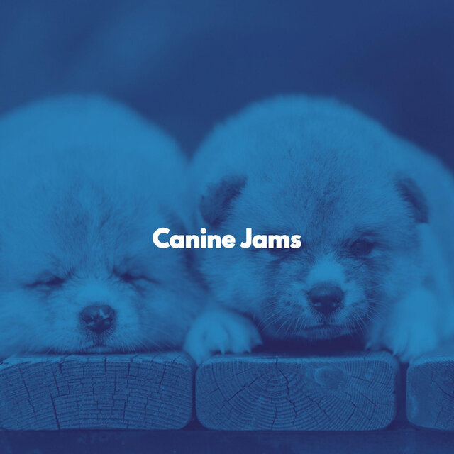 Canine Jams
