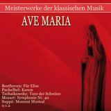 21 Hungarian Dances, WoO 1: No. 1, Allegro molto in G Minor