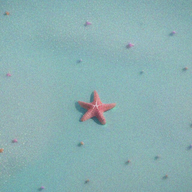 Starfish