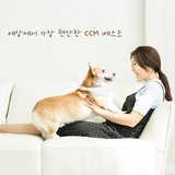 내 주의 은혜 강가로