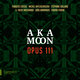 Cover art for album Opus 111 by AKA MOON