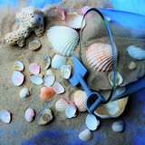 Lapping Tide Meditation