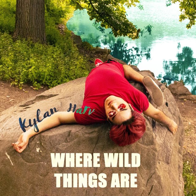 Where Wild Things Are (American Edition)