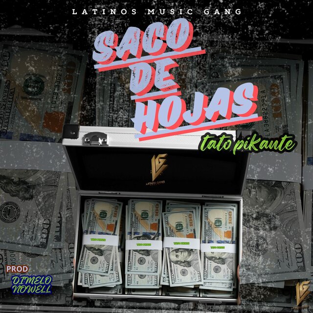 Saco de Hoja