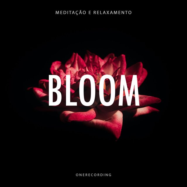 Bloom