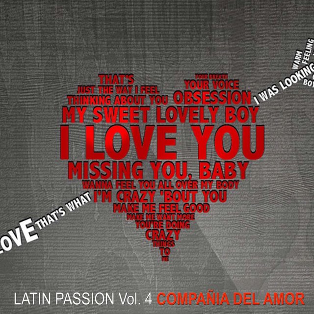 Latin Passion, Vol. 4