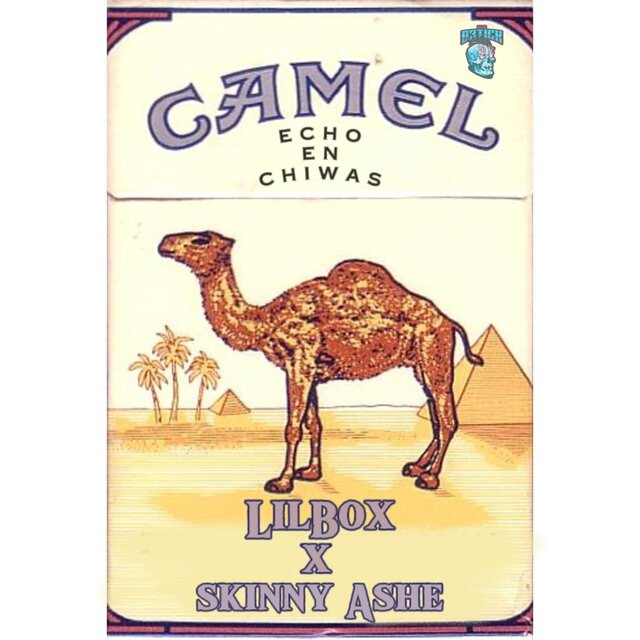 Camel