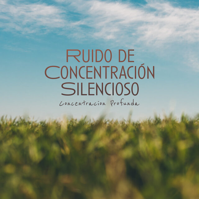 Ruido de Concentración Silencioso