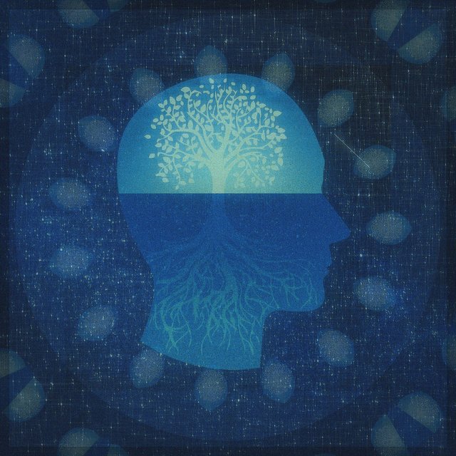 Universe Within