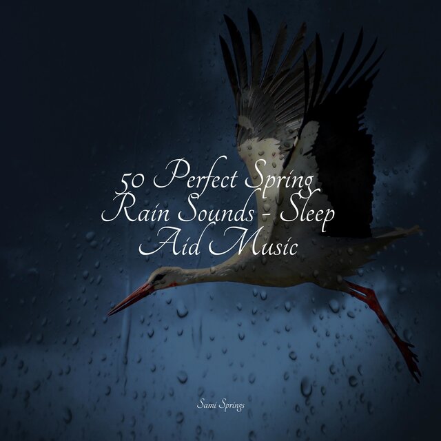 Spring Noises 50 Perfect Spring Rain Sounds - Sleep Aid Music by Yoga Soul on TIDAL