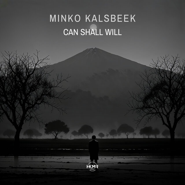 Can Shall Will