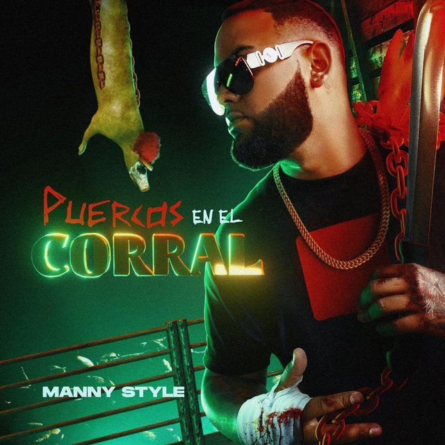 Puercos En El Corral