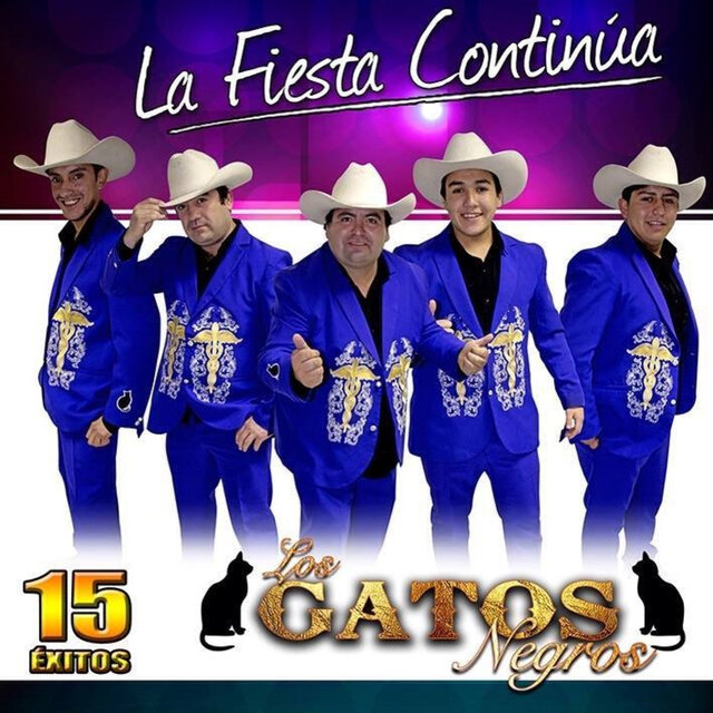 La Fiesta Continúa - 15  Éxitos