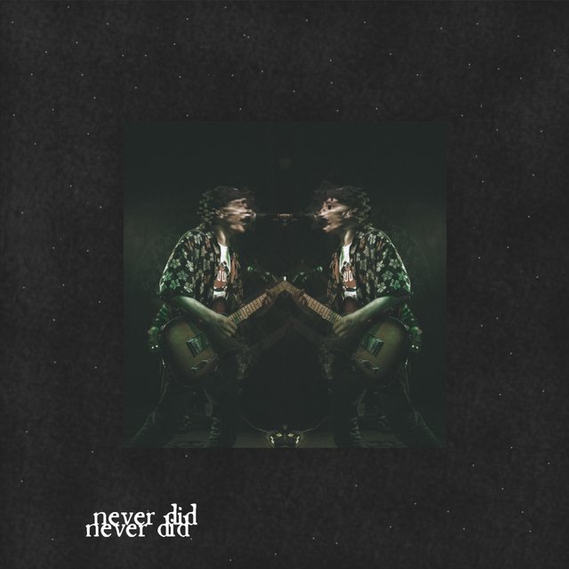 Never Did