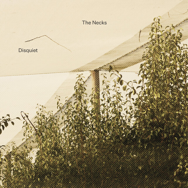 Cover art for album Disquiet by The Necks