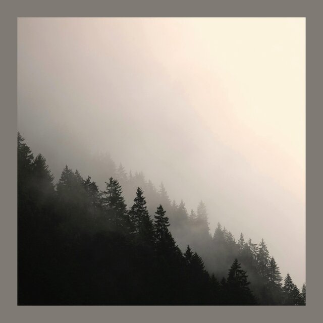 Place to Hide