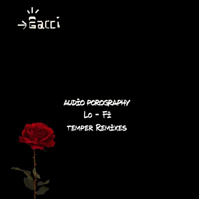 Audio Pornography Lo - Fi