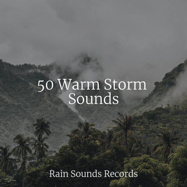 50 Warm Storm Sounds