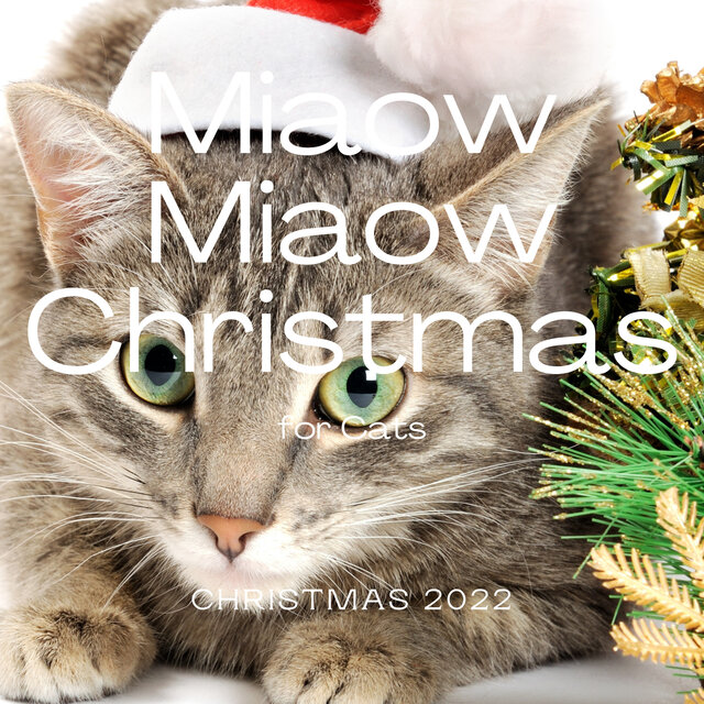 1 Miaow Miaow Christmas
