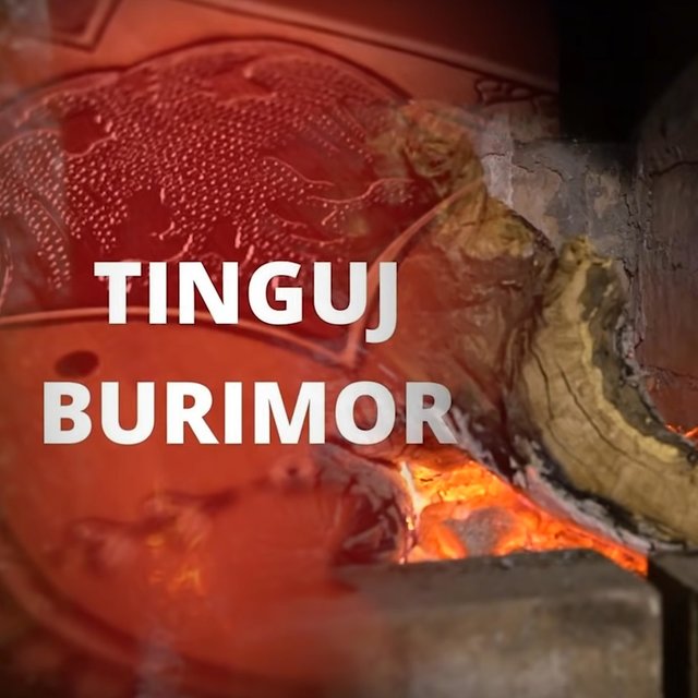 Tinguj Burimor