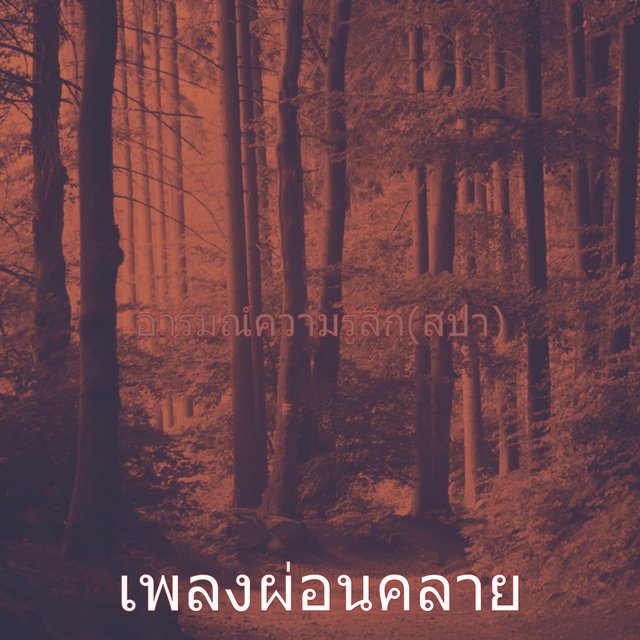 อารมณ์ความรู้สึก(สปา)