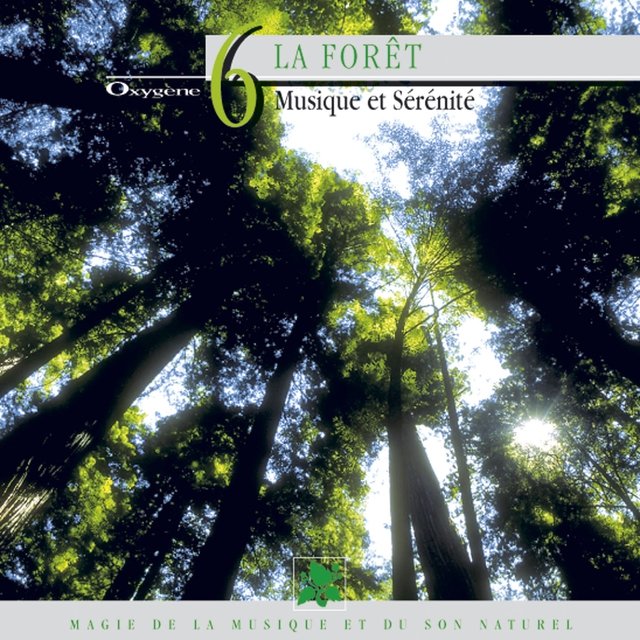 Oxygène 6 : La forêt (Musique et sérénité)