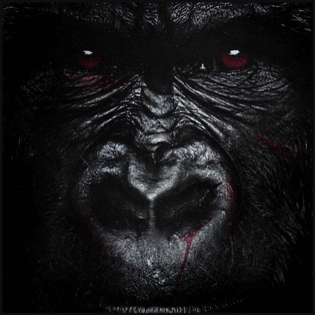 Gorilla Boy 3