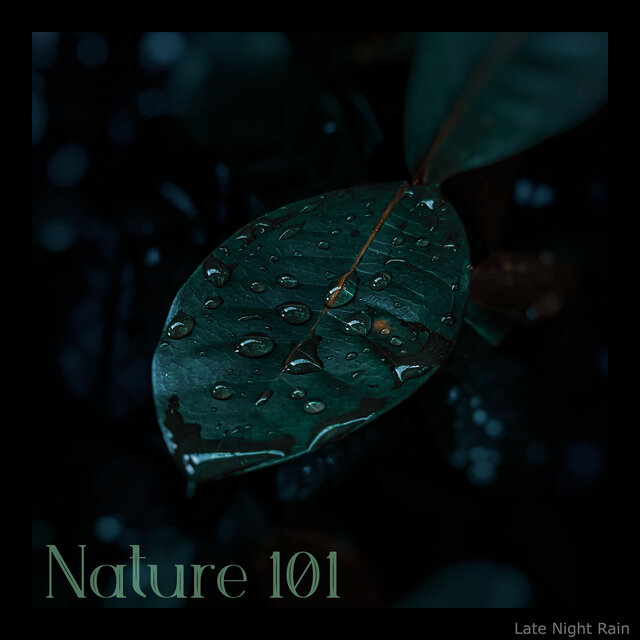 Late Night Rain