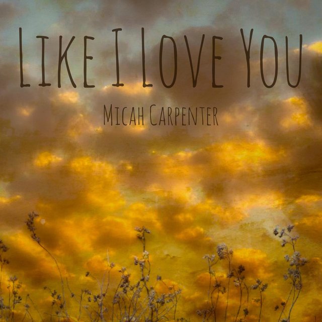 Like I Love You