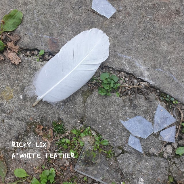 A White Feather
