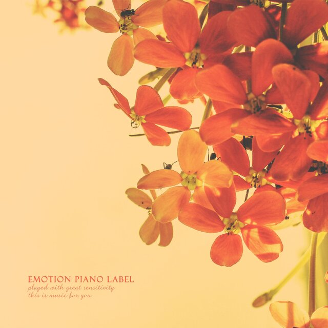 One day when flowers bloom