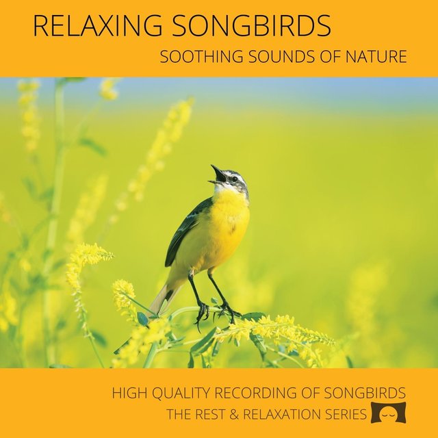 Relaxing Songbirds: Soothing Sounds of Nature