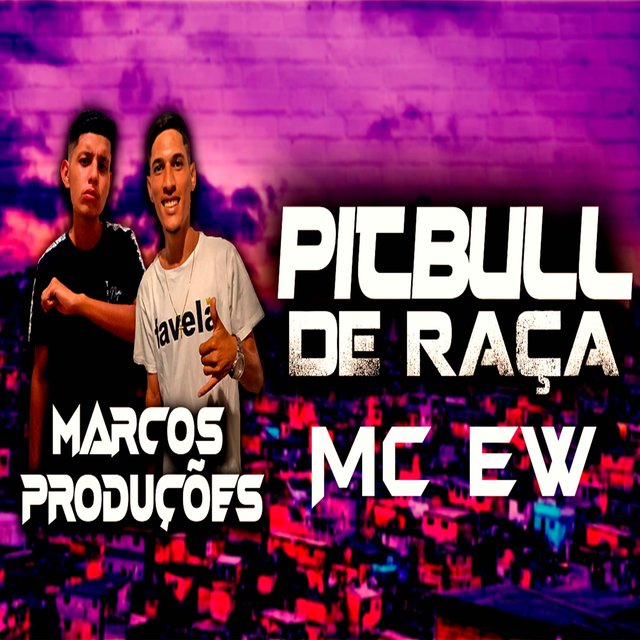 Pitbull de Raça