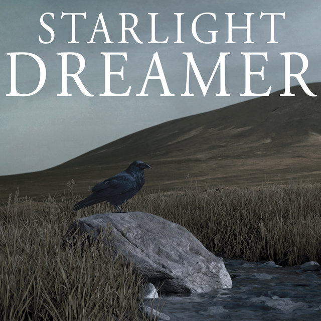 Starlight Dreamer