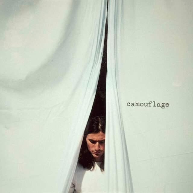 Cover art for album camouflage by Max Volante