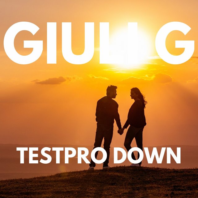 TESTPRO DOWN