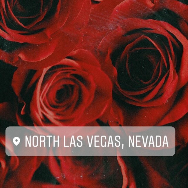 North Town