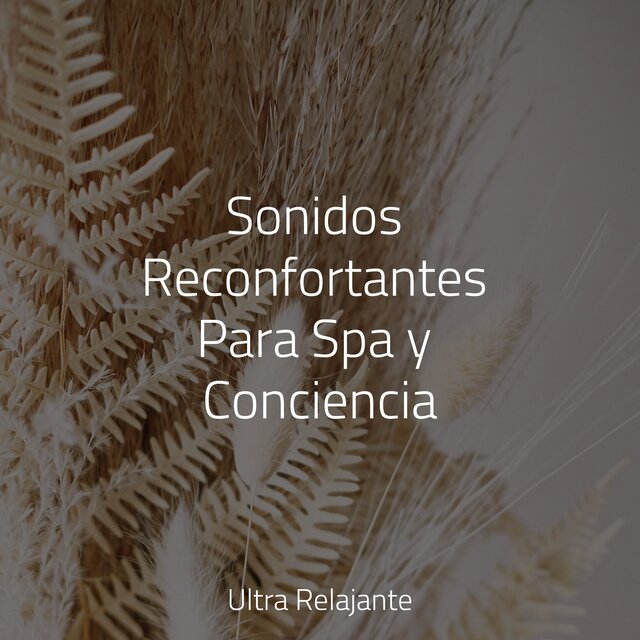 Sonidos Reconfortantes Para Spa y Conciencia