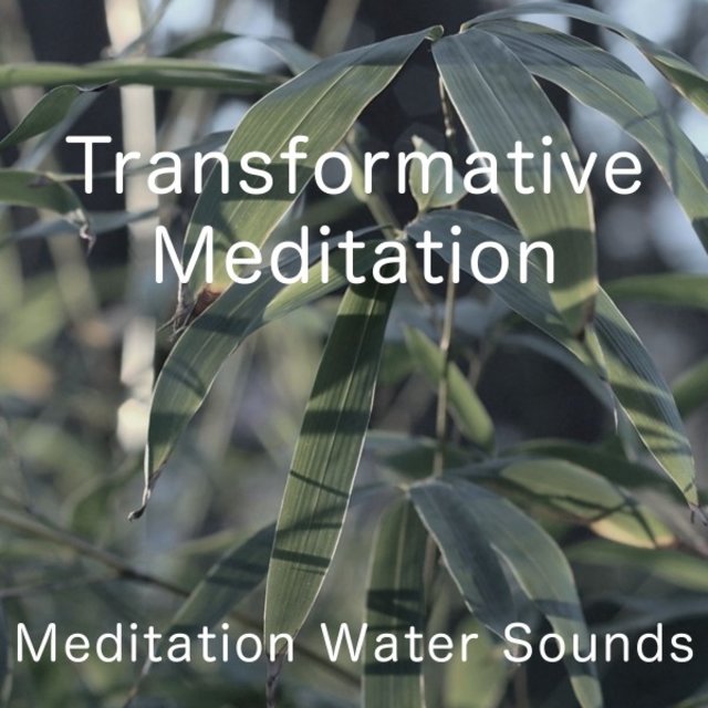 Transformative Meditation