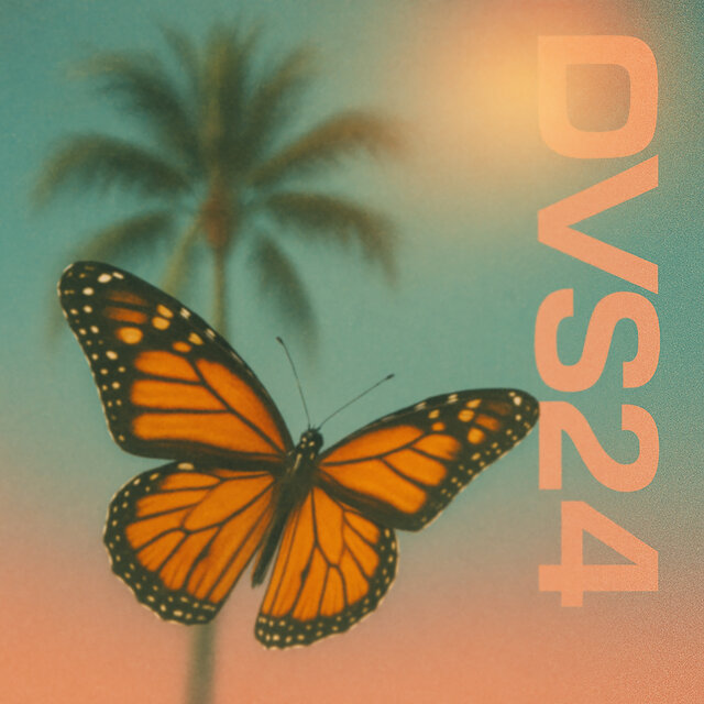 DVS24