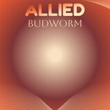 Allied Budworm