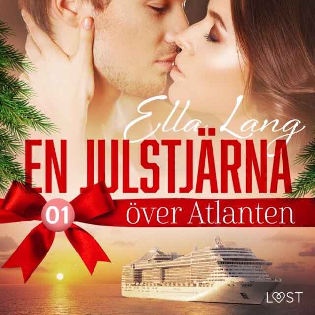 En julstjärna över Atlanten del 1 - Erotisk adventskalender