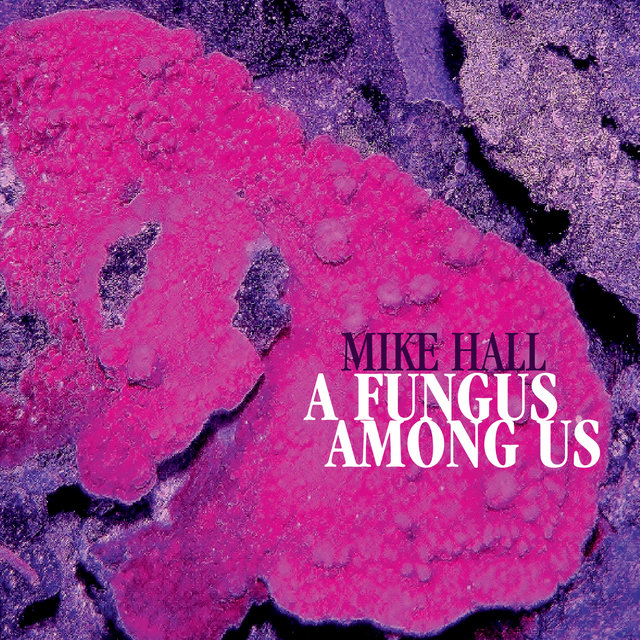A Fungus Among Us